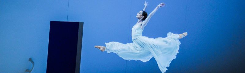 Rolf Georges - Fotografien vom Ballettensemble des Theaters Krefeld und Mönchengladbachs