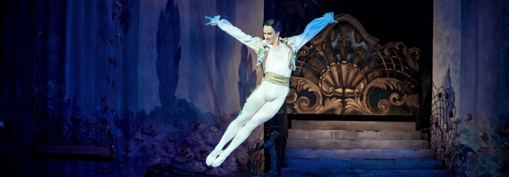 Andrii Gavryshkiv- Balletttänzer in Kiew